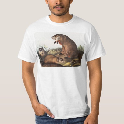 T-shirt Illustration de Woodchuck (Arctomys monax) (Devant)