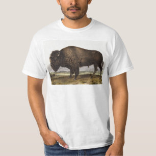 T-shirt Illustration du bison américain (Bos Americanus)
