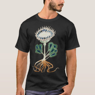 T-shirt Illustration du Plante du manuscrit Voynich 1