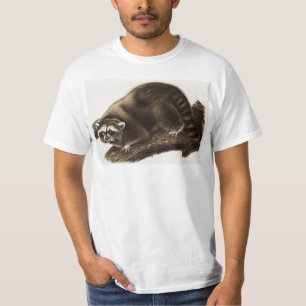 T-shirt Illustration du raton laveur (Procyon lotor)