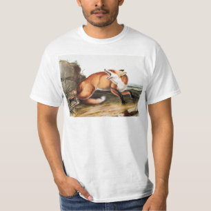 T-shirt Illustration du Renard rouge américain (Vulpes Ful