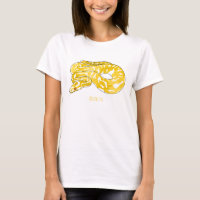 Illustration du serpent python birman