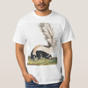 T-shirt Illustration LargeTail Skunk Mephitis macroura