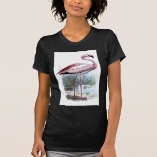 T-shirt Illustration Vintage du Flamant rose Puna