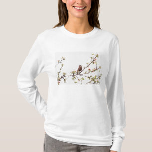 T-shirt Image de moineau chantant dans l'arbre fleurissant