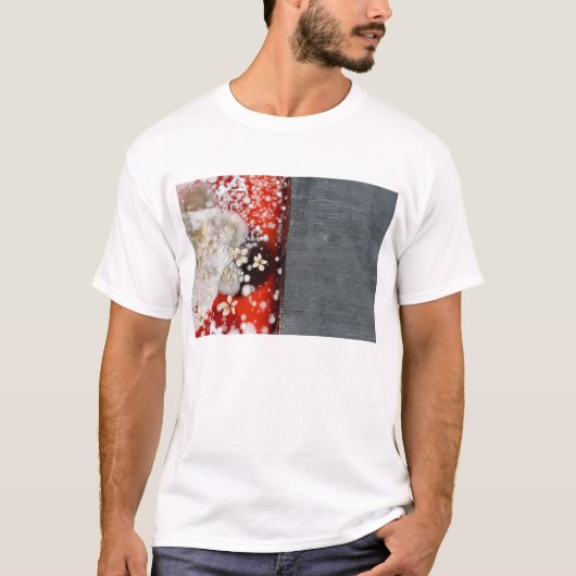 T-shirt Immortalité 2 (Devant)