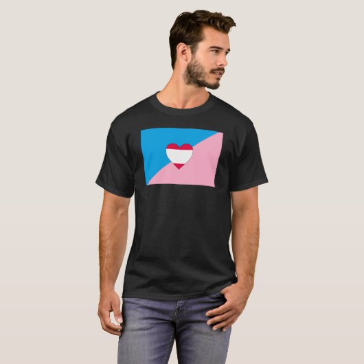 T-shirt Indicateur Age Play Pride (Devant entier)