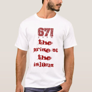 T-SHIRT INDICATIF RÉGIONAL 671