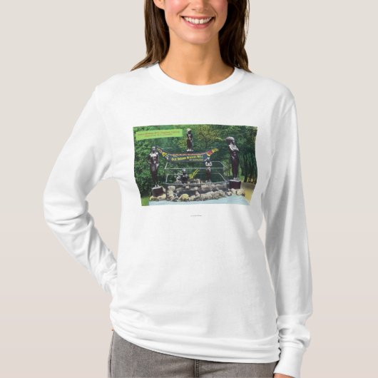 T-shirt Indien de canyon de Capilano souhaitant la vue (Devant)