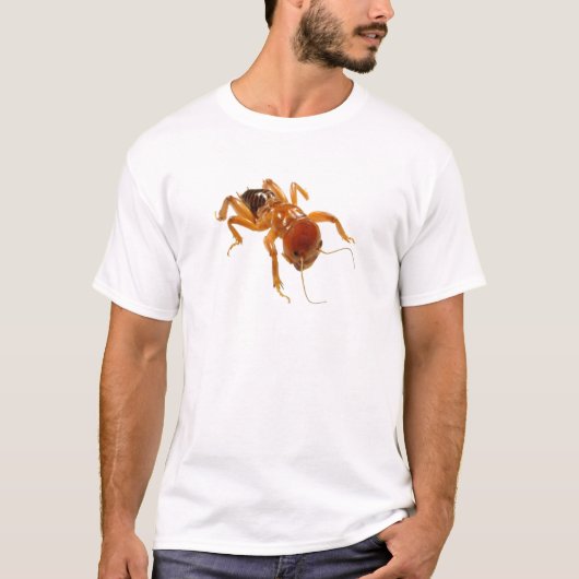 T-shirt Insecte de pomme de terre (Devant)