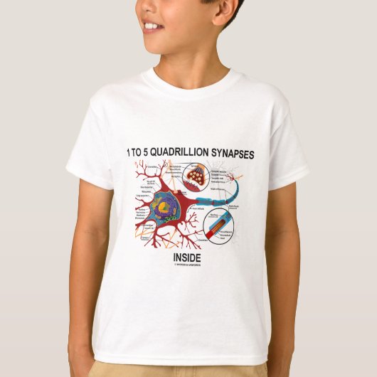 T-shirt Intérieur de 1 à 5 synapses de Quadrillion (Devant)