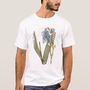 T-shirt Iris Pallida, de "Les Liliacees", 1812