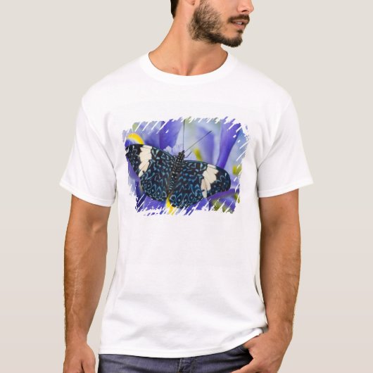 T-shirt Iris Pourpre Papillon Tropical (Devant)