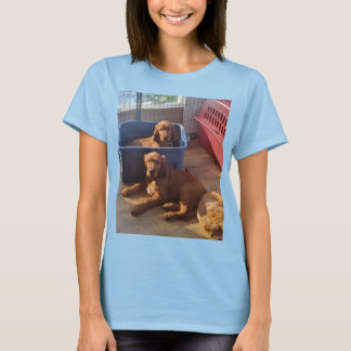 T-shirt Irlandais Setter Puppies