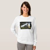 T-shirt Irlande, entrée côté château de Dromoland. (Devant entier)