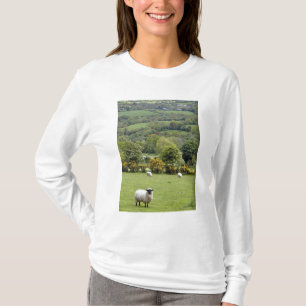 T-shirt Irlande occidentale, péninsule de Dingle, large