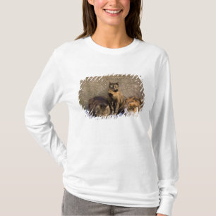 T-shirt Italie, Cinque Terre, Vernazza. Trois chats