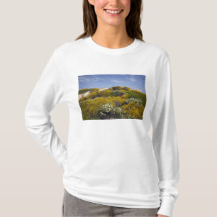T-shirt Italie, Sardaigne, Santa Teresa Gallura. Capo 3
