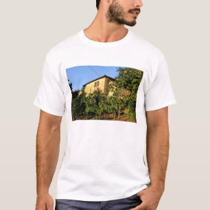 T-shirt Italie, Toscane, Greve. Scènes de vin fin d'été