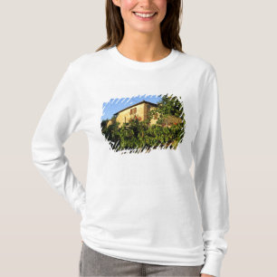 T-shirt Italie, Toscane, Greve. Scènes de vin fin d'été