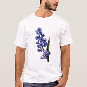 T-shirt Jacinthe