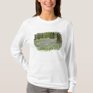 T-shirt Jacinthes et chênes au printemps, Little Hagley