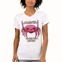 J'Ai Atteint Ma Limite Mentale Araignée Attention