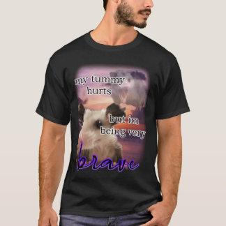T-shirt j'ai mal au ventre mais je suis très courageux pos