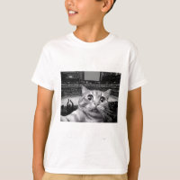 J'aime les chats et le hockey peut-être 3 personne