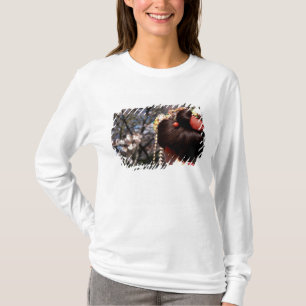 T-shirt Japon, Kyoto. Vue arrière gros plan de geisha