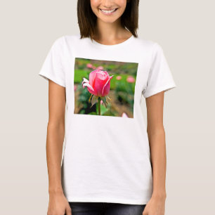 T-shirt Jardin de roses roses