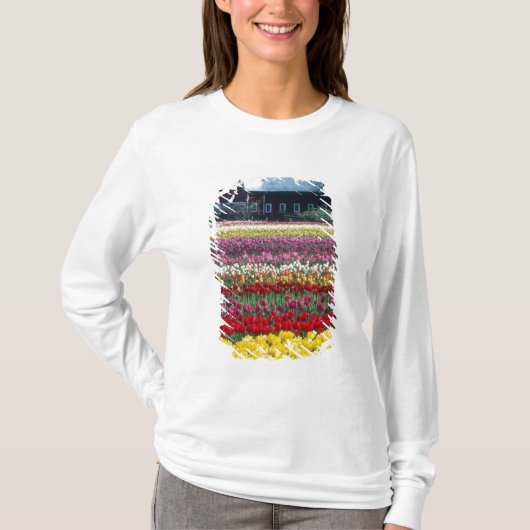 T-shirt Jardin de tulipes, comté de Skagit, (Devant)