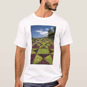 T-shirt Jardins botaniques, Funchal, îles de Madère,