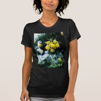 T-shirt Jaune Daffodils fleurs dans la neige