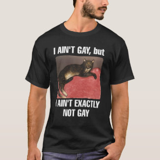 T-shirt Je ne suis pas gay mais je ne suis pas vraiment ga