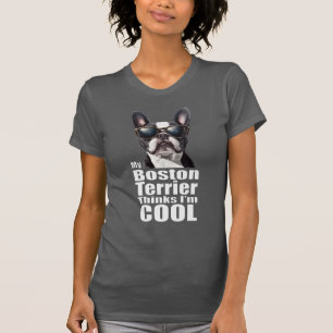 T-shirt Je suis Cool Boston Terrier