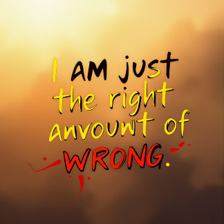 T-shirt Je suis juste la bonne quantité de mauvaises
