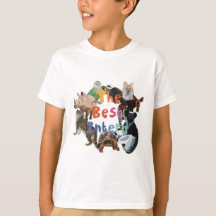 T-shirt Je suis pour stagiaire
