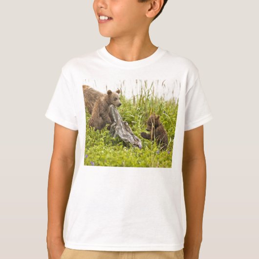T-shirt Jeu de CUB d'ours (Devant)