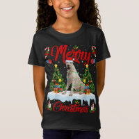 Jeu de Noël Père Noël Irish Wolfhound Chien Christ