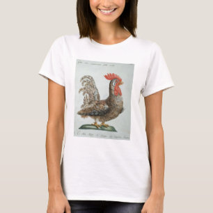 T-shirt Jeune coq nain, c.1767-76 (gravure colorée par