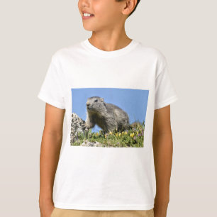T-shirt Jeune marmotte alpine