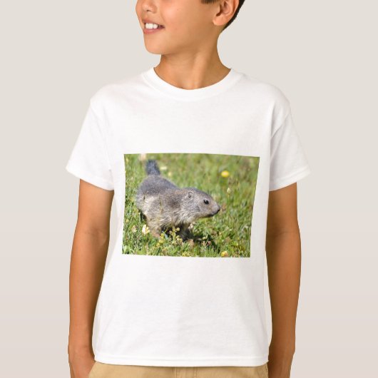 T-shirt Jeune marmotte alpine dans l'herbe (Devant)