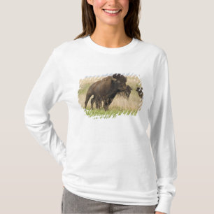 T-shirt Jeune taureau de bison fougueux à la Tallgrass