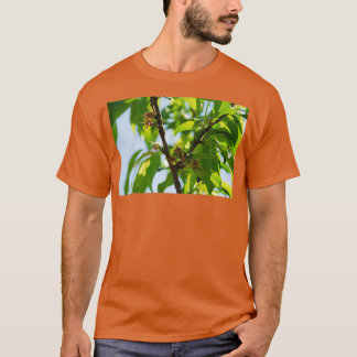 T-shirt Jeunes amandes Drupes 1