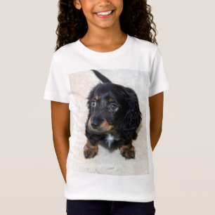T-Shirt Joli Chien chiot noir Dachshund