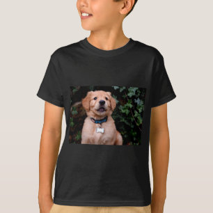T-shirt Joli chiot photo Golden Retriever Puppy