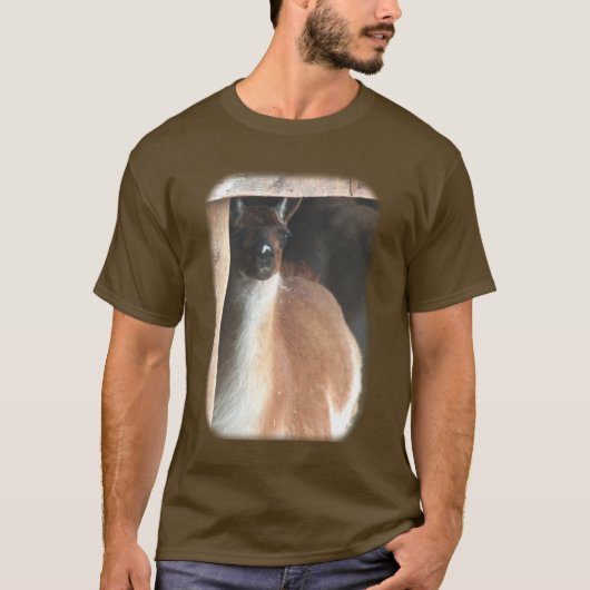 T-shirt Jolie ferme de Llama (Devant)