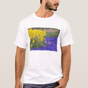 T-shirt Jonquilles et Muscari, Keukenhof 3