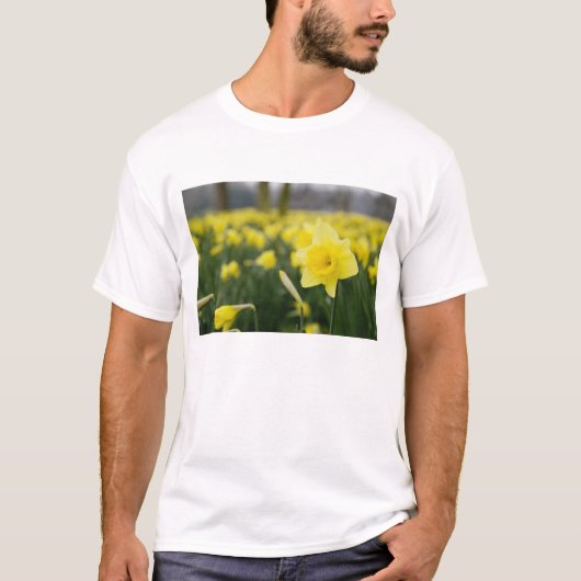 T-shirt Jonquilles (RF) (Devant)